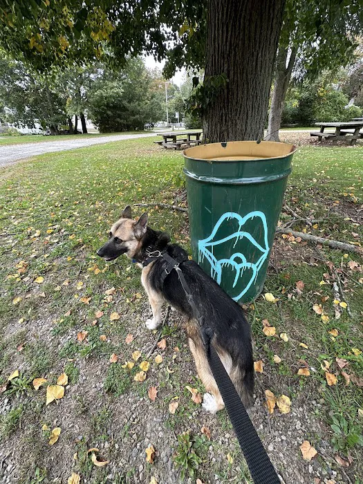 Lincoln Animal Hospital Picture 9