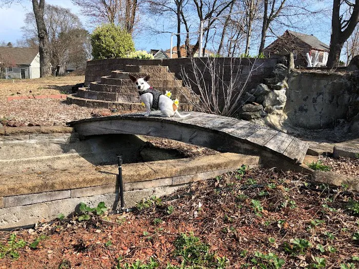 Lincoln Animal Hospital Picture 3