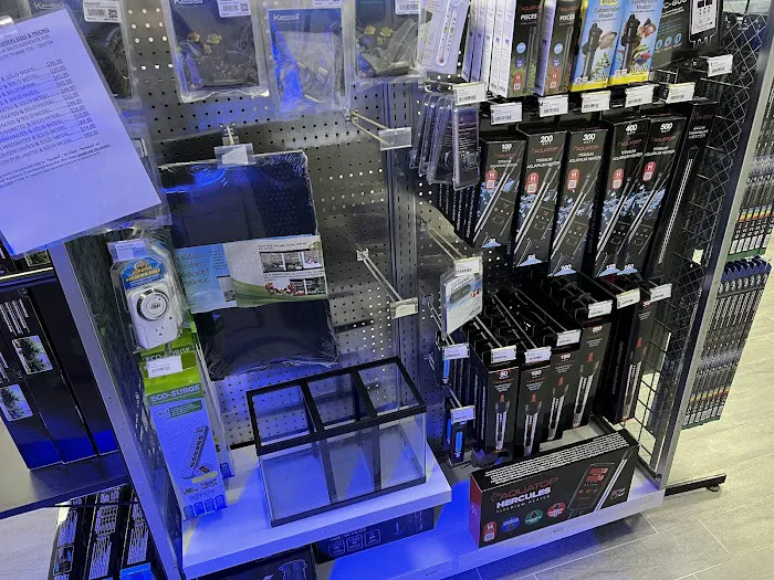 Triad Aquatic Services, LLC. Picture 3