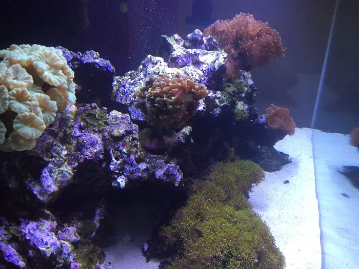 Triad Aquatic Services, LLC. Picture 9