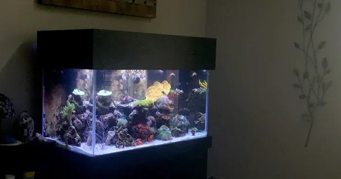 Triad Aquatic Services, LLC. Picture 10