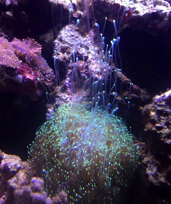 Triad Aquatic Services, LLC. Picture 1