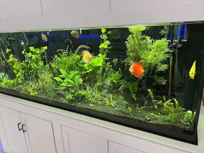 Triad Aquatic Services, LLC. Picture 7