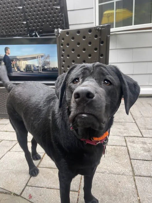 Torrington Animal Hospital Picture 1