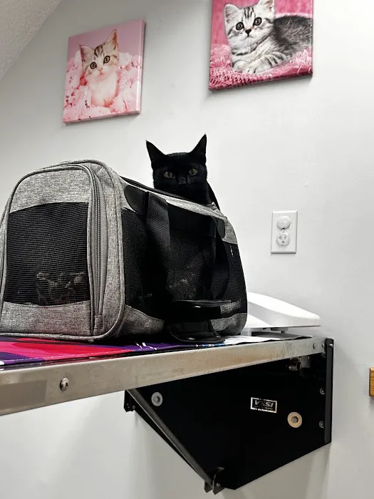 Torrington Animal Hospital Picture 3