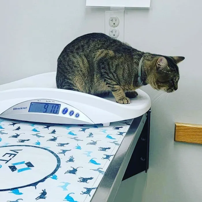 Torrington Animal Hospital Picture 4