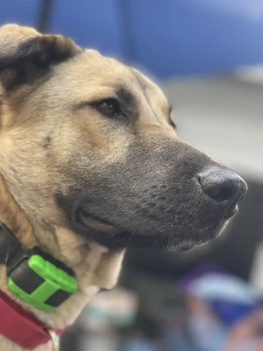 Torrington Animal Hospital Picture 2