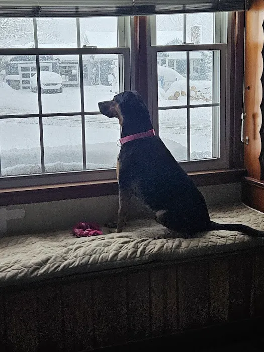 Torrington Animal Hospital Picture 8