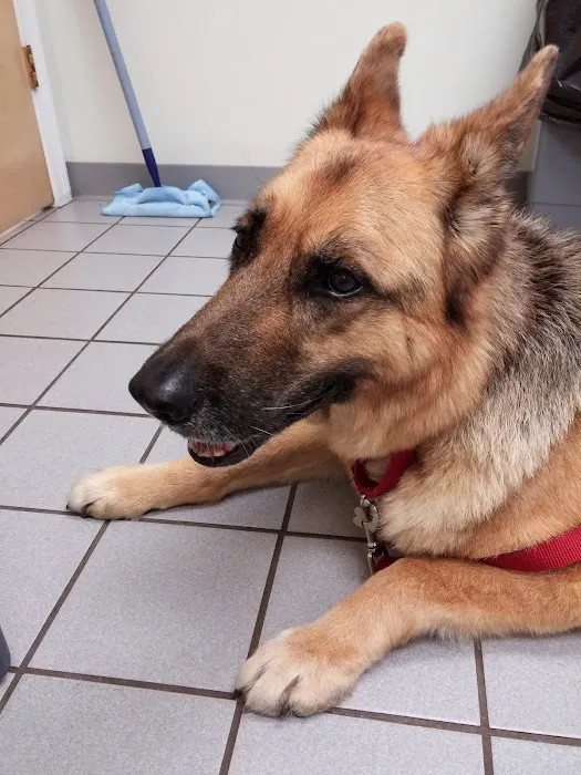 Torrington Animal Hospital Picture 7