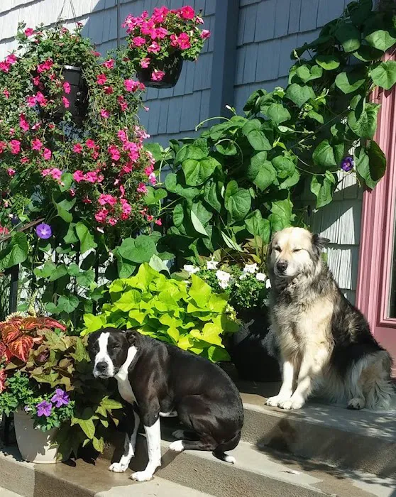 Torrington Animal Hospital Picture 9