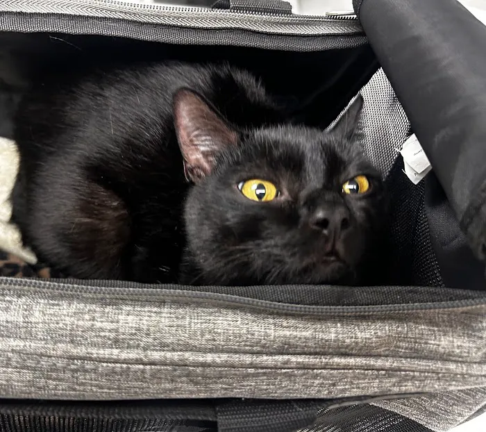 Torrington Animal Hospital Picture 6