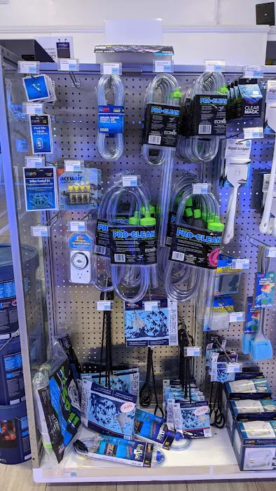 Triad Reef Critters Picture 7