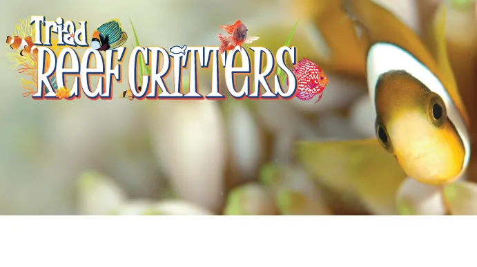 Triad Reef Critters Picture 9