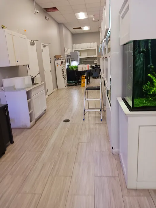 Triad Reef Critters Picture 3