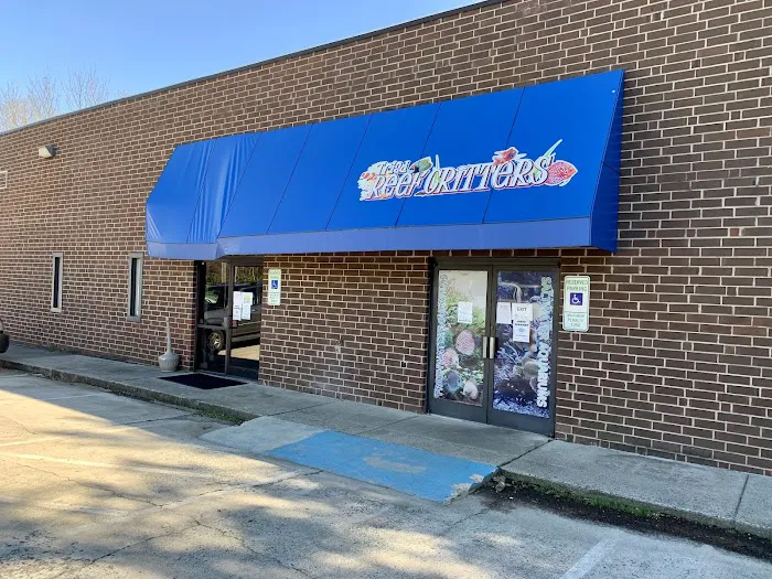 Triad Reef Critters Picture 2