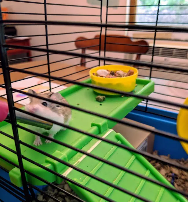 Vetco Vaccination Clinic Picture 6