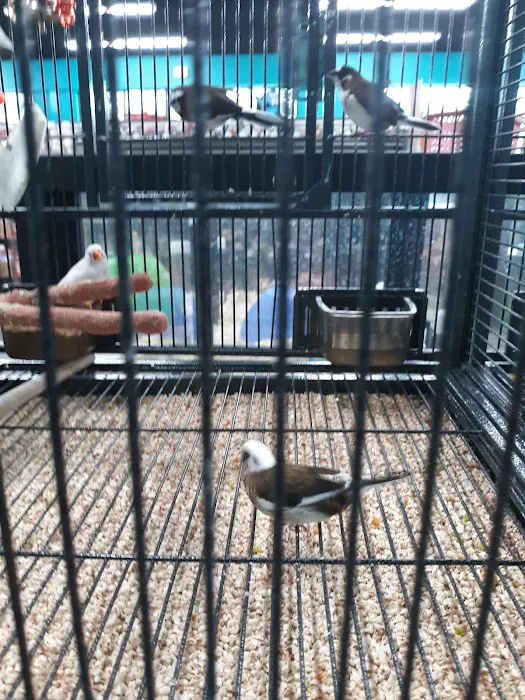 Pet Supermarket Picture 4