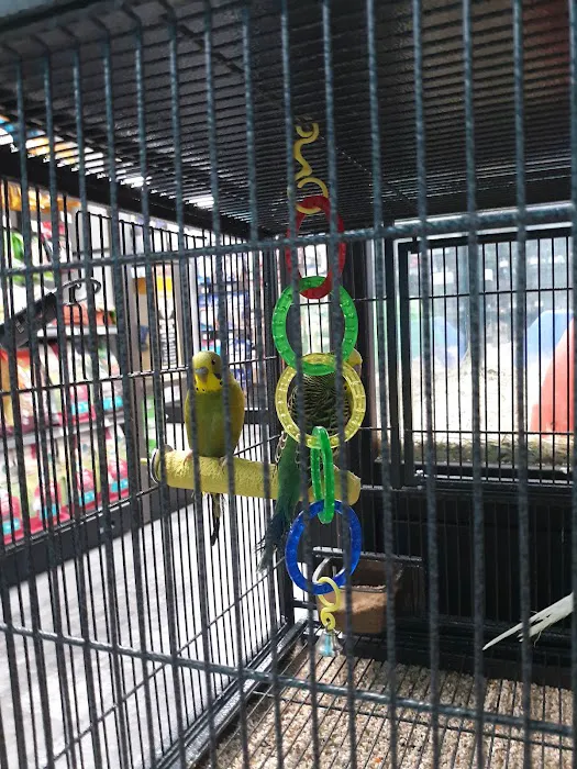 Pet Supermarket Picture 6
