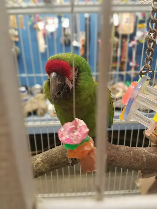 Aqua-Rama Pet Center Picture 3