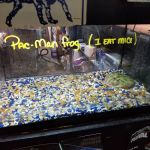 Aqua-Rama Pet Center