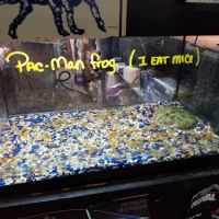 Aqua-Rama Pet Center ico