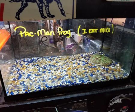 Aqua-Rama Pet Center