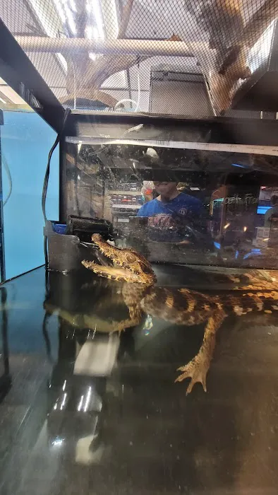 Aqua-Rama Pet Center Picture 5