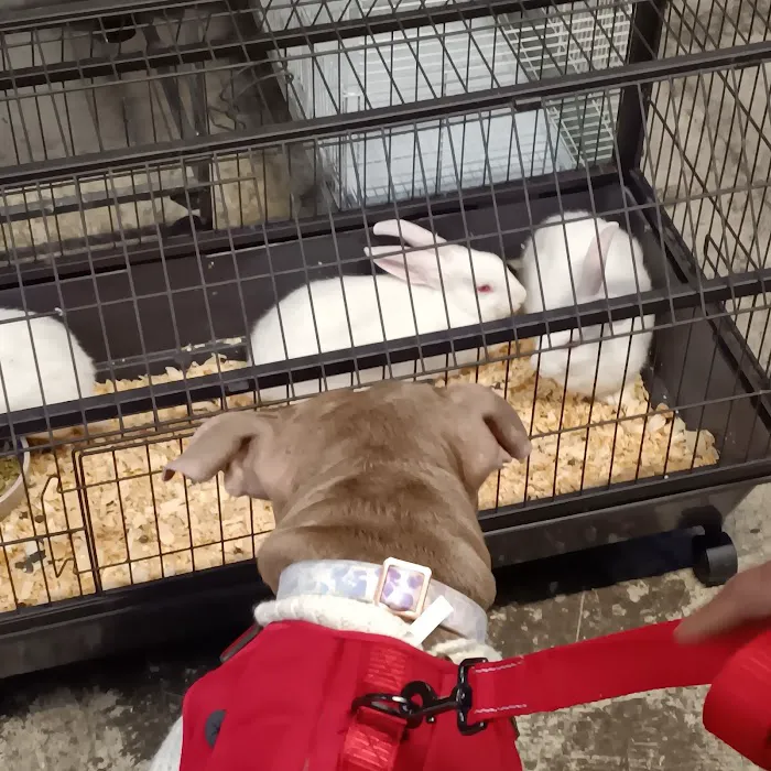 Aqua-Rama Pet Center Picture 6