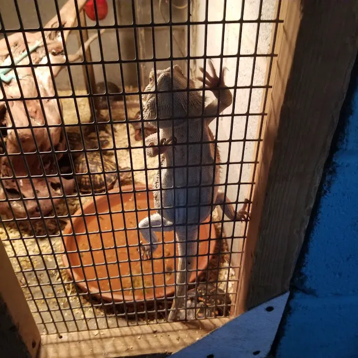 Aqua-Rama Pet Center Picture 2