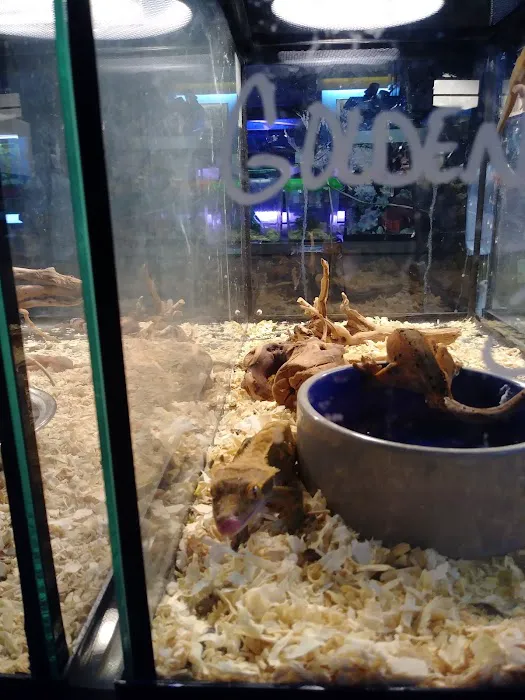 Aqua-Rama Pet Center Picture 10