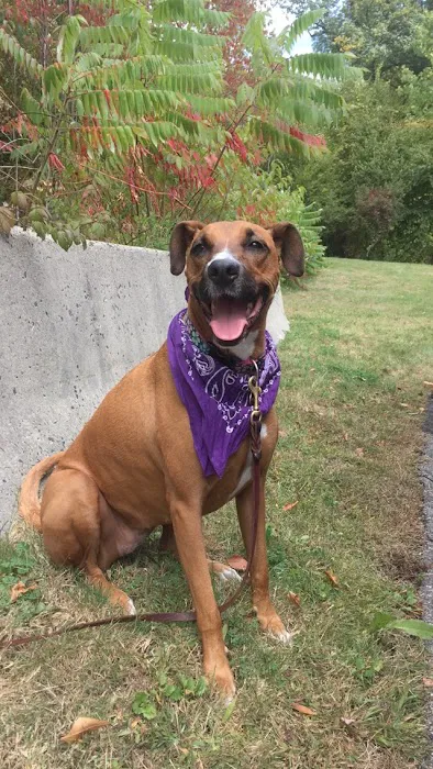 North Torrington Veterinary Hospital Picture 2