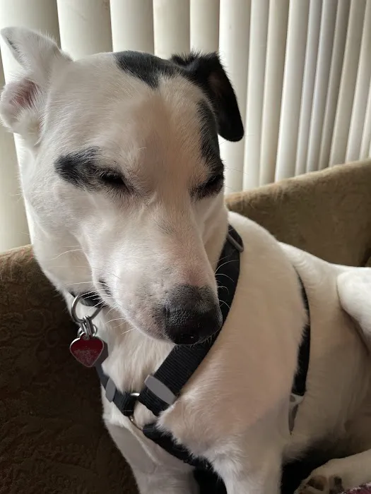 North Torrington Veterinary Hospital Picture 3