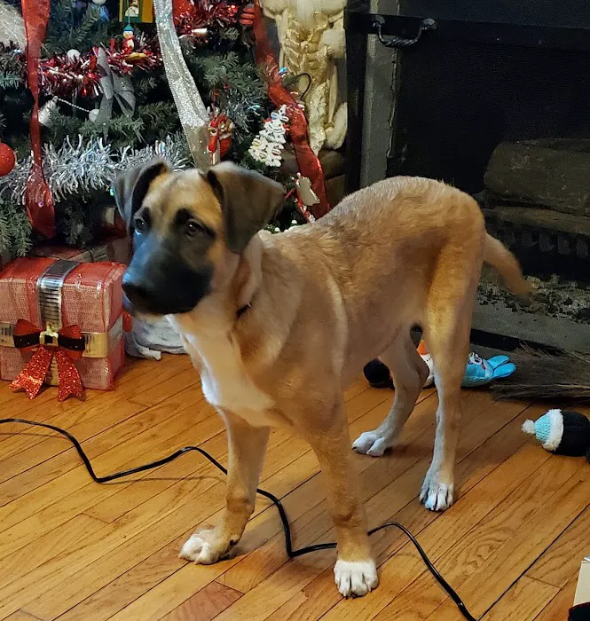 North Torrington Veterinary Hospital Picture 6