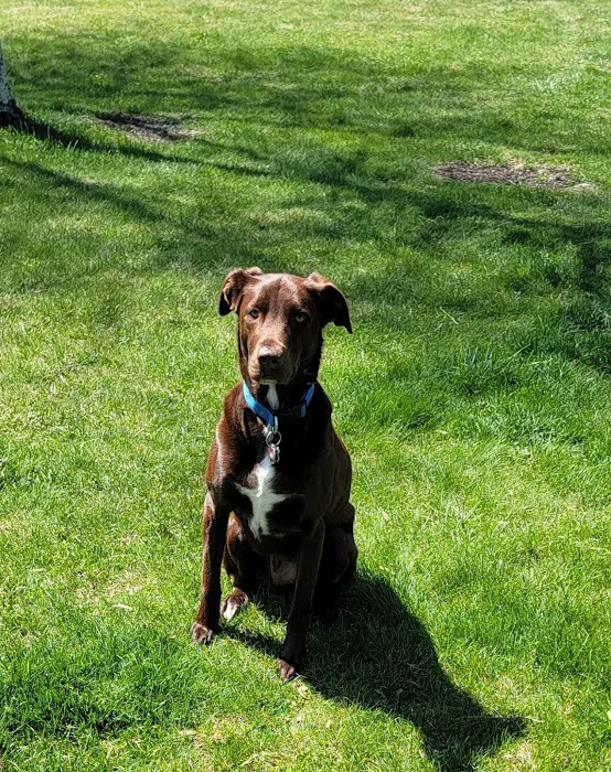 North Torrington Veterinary Hospital Picture 1