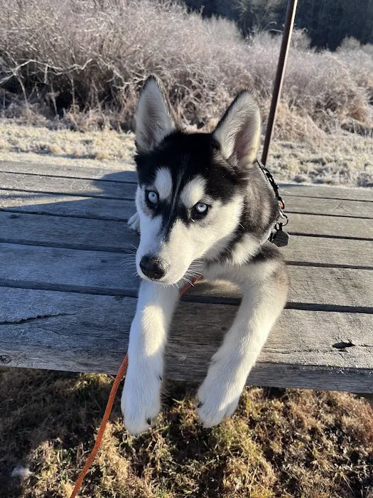 North Torrington Veterinary Hospital Picture 9