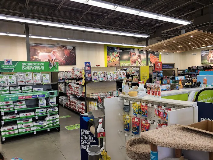 Petco Picture 5