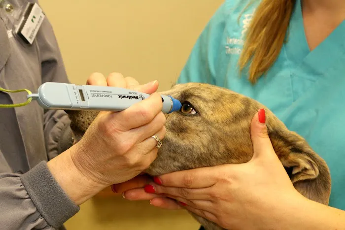 Litchfield Veterinary Hospital Picture 8