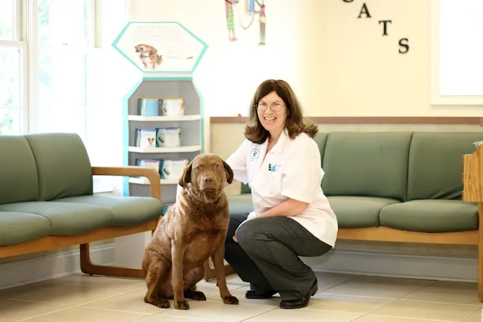 Litchfield Veterinary Hospital Picture 6