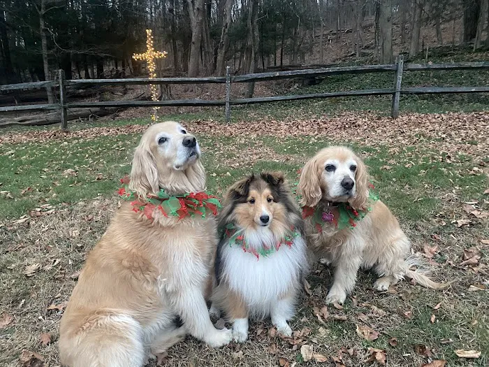 Litchfield Veterinary Hospital Picture 5