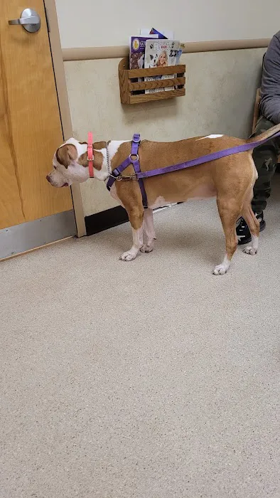 Litchfield Veterinary Hospital Picture 2