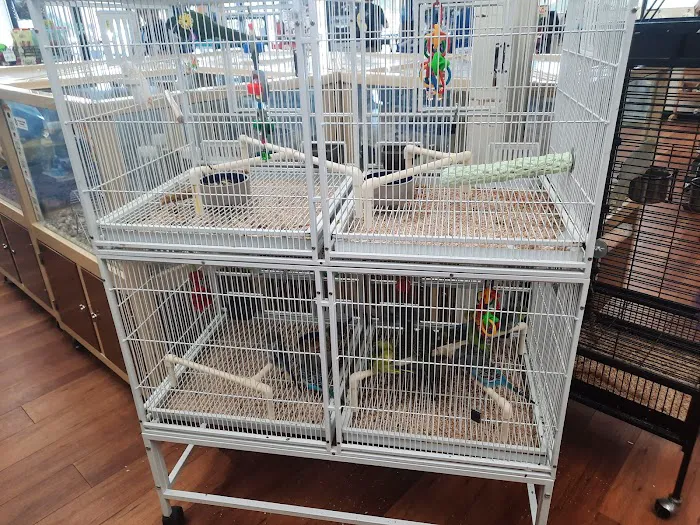 Pet Supermarket Picture 5