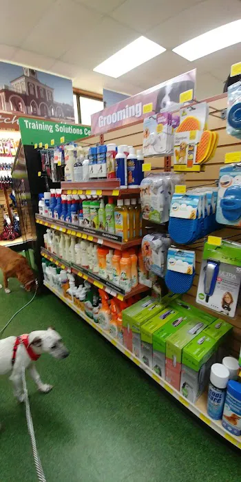 Pet Supermarket Picture 7