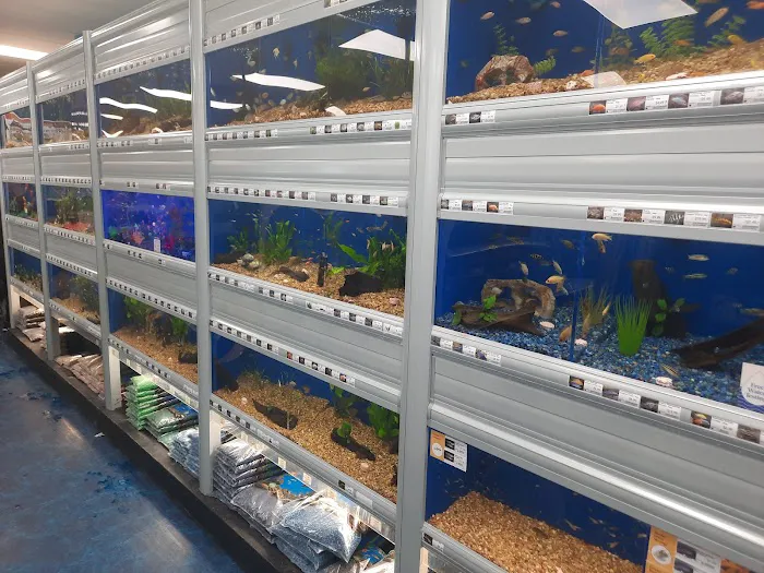 Pet Supermarket Picture 8