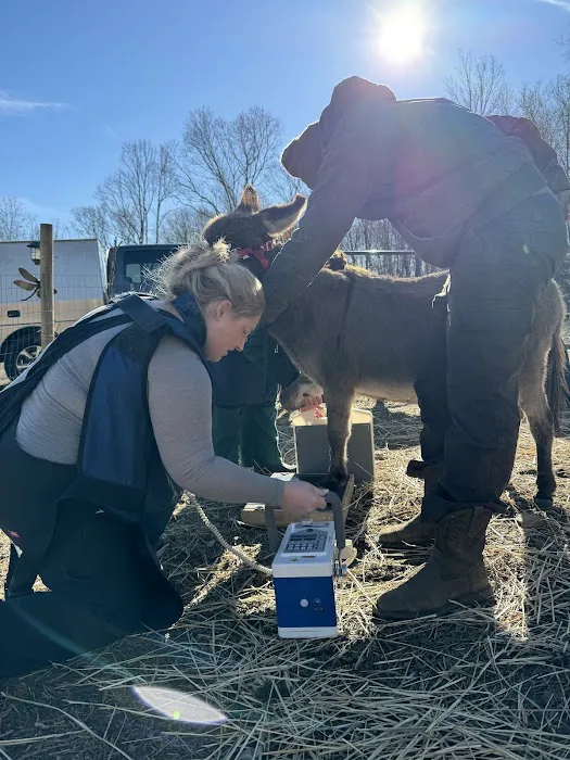 Tri-State Veterinary Services, LLC Picture 3