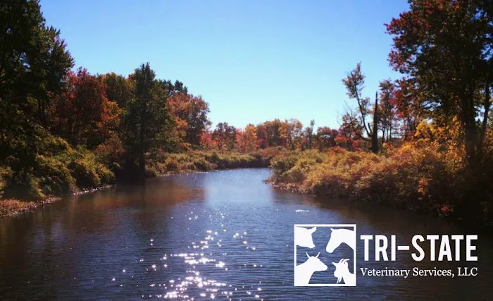 Tri-State Veterinary Services, LLC Picture 6