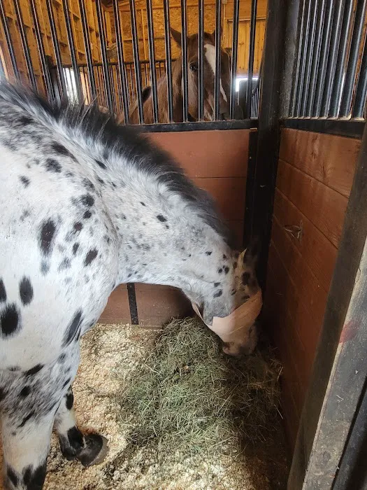 Tri-State Veterinary Services, LLC Picture 1