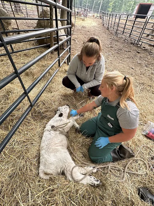 Tri-State Veterinary Services, LLC Picture 2