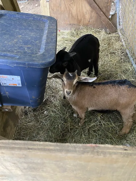 Tri-State Veterinary Services, LLC Picture 5