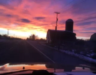 Tri-State Veterinary Services, LLC Picture 7