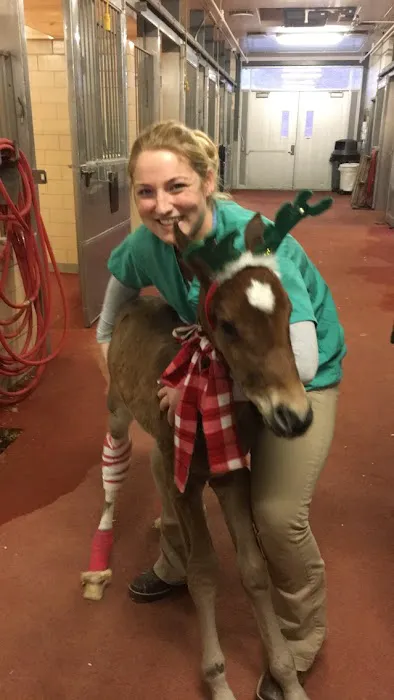 Tri-State Veterinary Services, LLC Picture 9